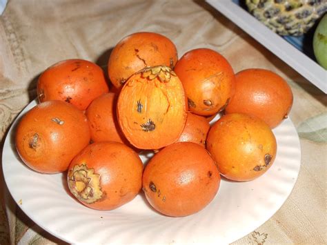 Guyana Meet Evanna Fruits Of Guyana