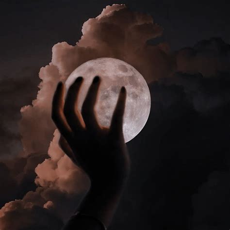Pin by oceasomni on lit. —> a court of thorns and roses | Fantasy