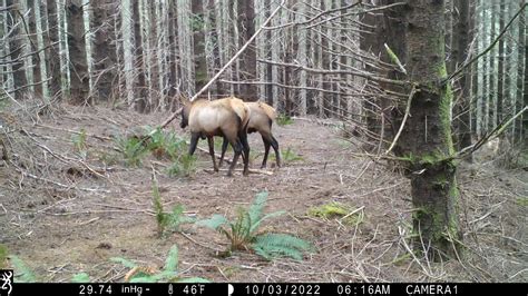 Teenagers | By Jody Smith Guide Service