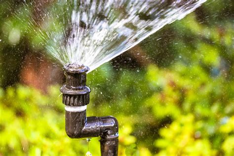 signs you need a sprinkler system repair maxum irrigation and plumbing sprinkler plumber