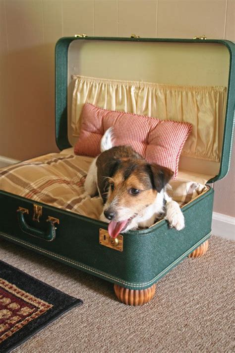 Make A Simple Suitcase Pet Bed Diy Pet Bed Stylish Dog Beds Diy Dog Bed