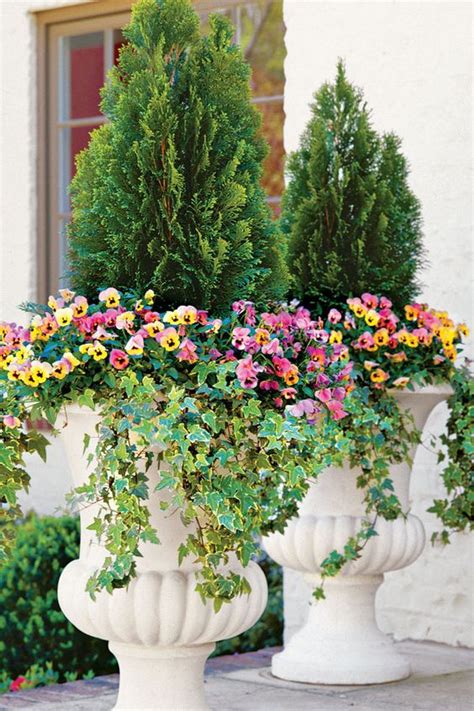 Evergreens And Annuals 122 Container Gardening Ideas