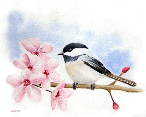 Chickadee In Cherry Blossoms 8x10 Inch Signed Fine Art Print Pink