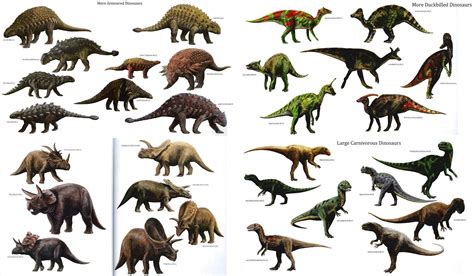 Динозавры виды и названия с фото для детей