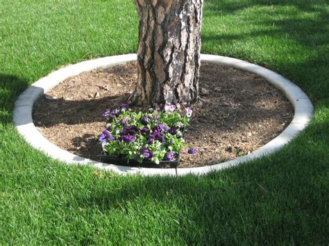 Concrete Curb Tree Ring Garden Edging Outdoor Yard Ideas Tree Rings