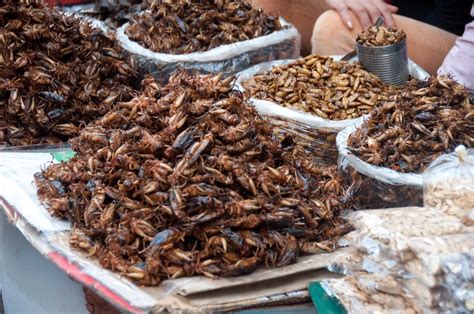 Cambodian food is one of the most underrated cuisines in south east asia. Cambodia exotic foods: deep fried insects similar to ...