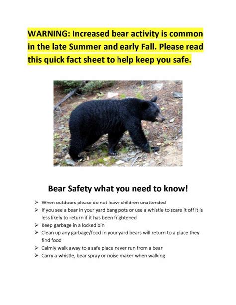Bear Safety Fort William First Nation