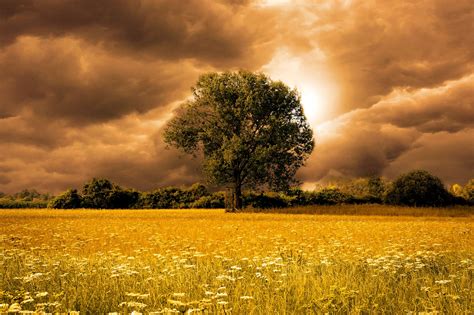 39 Popular Free Stock Photography Images New Photo Photograph