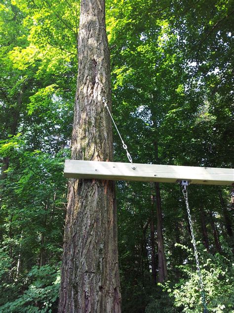 To hang a tree swing, start by selecting a sturdy, hardwood tree with healthy branches. Swing between 2 trees | Outdoor fun for kids, Backyard play