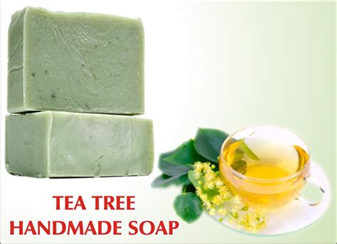 Tea Tree Handmade Soap At Rs 90 Piece In Surat Sab Products Of India