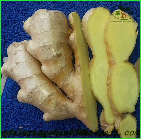 export to dubai bulk ginger ginger buy to dubai fresh ginger ginger types fresh dried ginger