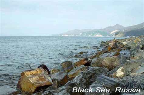 RUSSIA (RUSSIAN FEDERATION) PAX GAEA COUNTRY REPORT