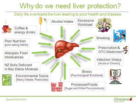Heal Your Gut Improve Your Liver Function To Improve Your Health The