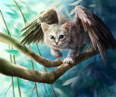 Pin By Jolene Duff On Fantasy Cute Fantasy Creatures Cat Art