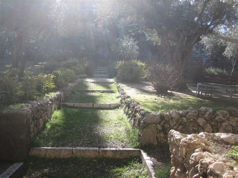 Garden Of Gethsemane Photo