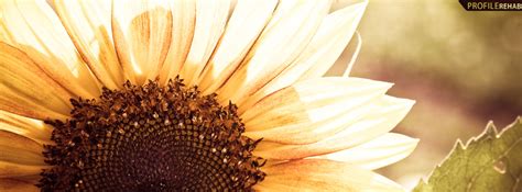 Enhance your facebook profile right now, by using any of our awesome free covers! Beautiful Sunflower Photography Facebook Cover