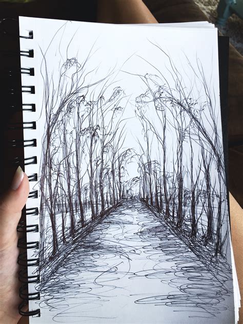 A Sketch Made With Pen A Beautiful Walking Path♥️ Landscape Sketch