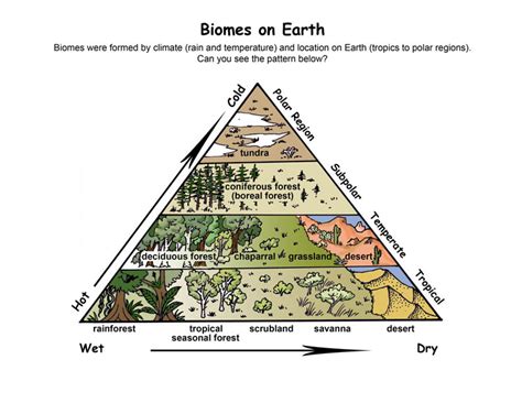 How Does The Tundra Differ From Other Biomes Socratic