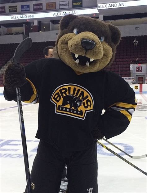 Pickup, delivery & in stores. What is the Boston Bruins' mascot? - Quora