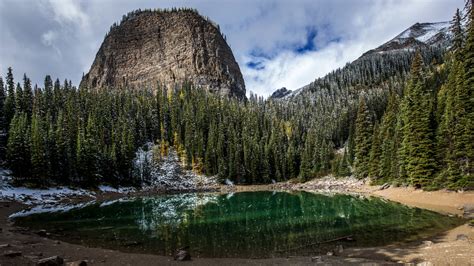 Download 1366x768 Wallpaper Trees Lake Forest Mountains Nature