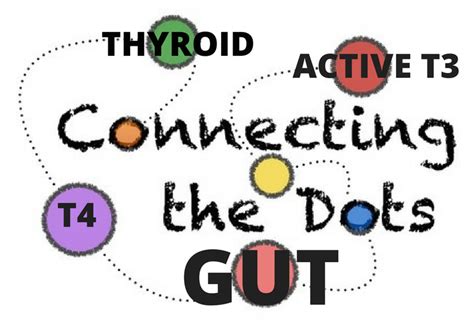 The Gut Thyroid Connection Functional Medicine Sibo Ibs And Leaky Gut