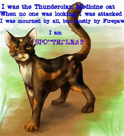 Warrior Cats Memes S