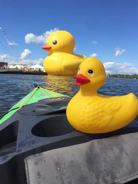 One meter is a length measurement and equals approximately 3.28 feet. I took my ducky to see a 60 foot tall rubber duck in ...