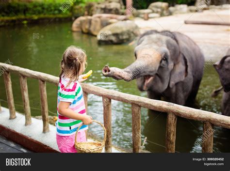 82 Animal Zoo Images For Kids Plan Artplan