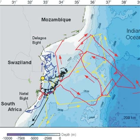 Schematic Diagram Of Major Surface Currents Around Southern Africa