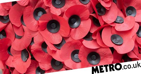 Why Are Poppies A Symbol Of Remembrance Metro News