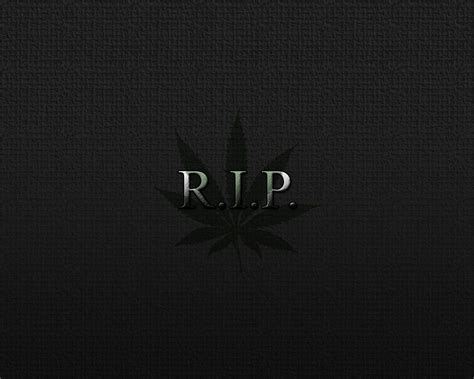 Rip Wallpapers Top Free Rip Backgrounds Wallpaperaccess