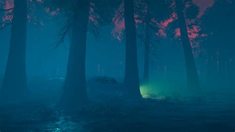 Night Woods Hd Wallpapers Backgrounds