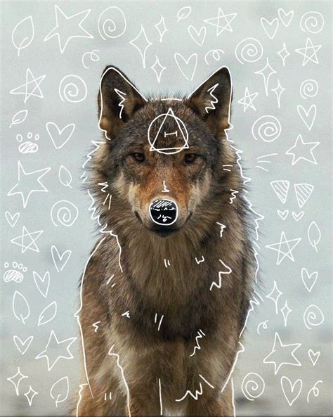 sea wolf therian ☆ | Canine art, Wolf spirit animal, Wolf