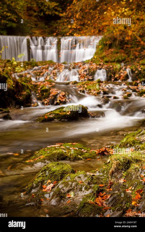 Lower Stock Ghyll Force Waterfalls Ambleside Lake District Cumbria Uk
