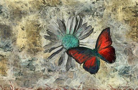 Butterfly And Daisy Ftd01t01 Digital Art By Variance Collections Pixels