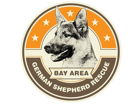 After your application is approved you will be able to spend time with the animals that interest you. Bay Area German Shepherd Rescue | German shepherd rescue ...
