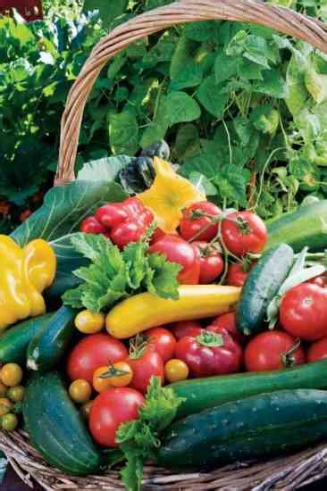 Via this website, we are pleased to offer online shopping in addition to our brick and mortar store. Edible Landscaping: Grow $700 of Food in 100 Square Feet ...