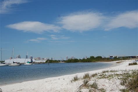 Davis Island Dog Beach Tampa Lo Que Se Debe Saber Antes De Viajar