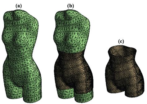 The 3d Finite Element Meshed Models A The Human Body Model B The
