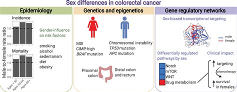 Frontiers Genome Wide Sex And Gender Differences In Cancer