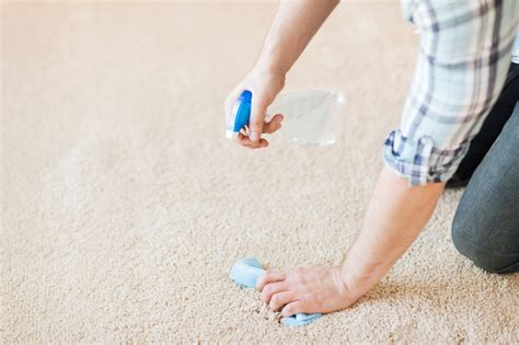 5 Carpet Maintenance Tips That All Homeowners Should Know Quality