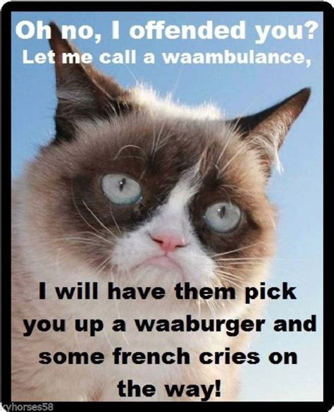 Funny Cat Humor Grumpy Cat Oh No I Offended You Refrigerator Magnet Grumpy Cat Quotes Funny