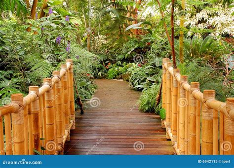 Bamboo Bridge In The Jungle Royalty Free Stock Photo Cartoondealer