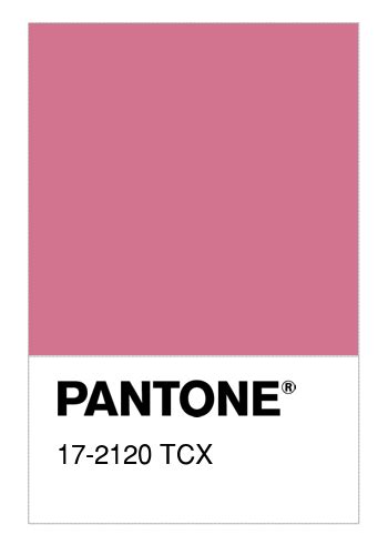 Colore Pantone® 17 2120 Tcx Chateau Rose Numerosamenteit