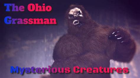 The Ohio Grassman Bigfoot Caught On Video Youtube