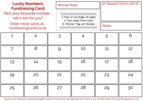 Lucky Numbers Fundraising Card Raffle Ticket