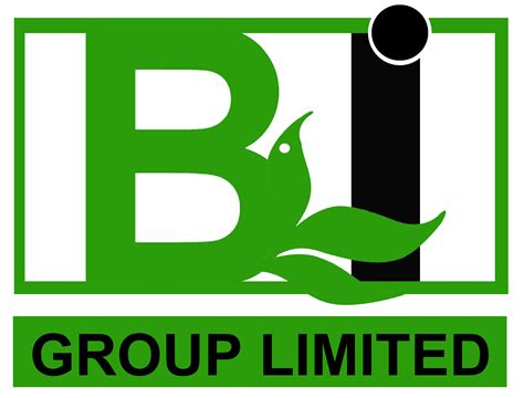 Bi Group Limited Welcome