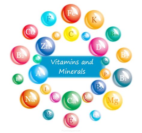 Vitamins And Minerals List Functions Supplements