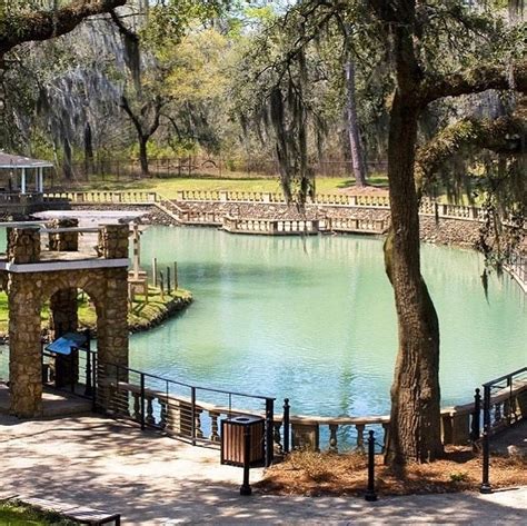 Admire One Of Georgias Seven Natural Wonders Radium Springs Gardens