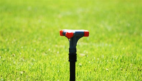 An unkempt lawn could easily be the failure of any garden a simple garden edger and some string can effectively do the job, but you can also find more great garden edging ideas here. Do-It-Yourself Annual Lawn Care in Georgia | Garden Guides